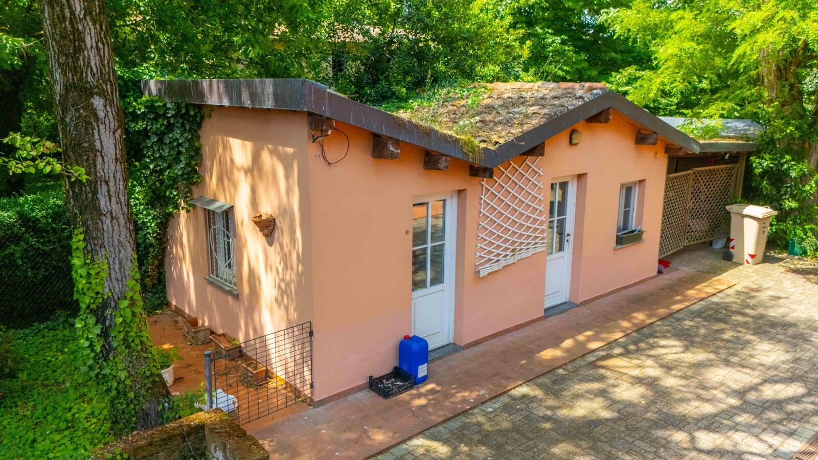 Foto-4