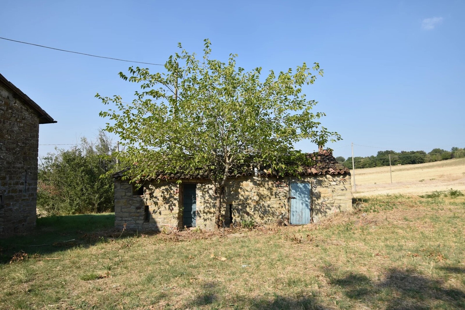 Picture-86386622-3