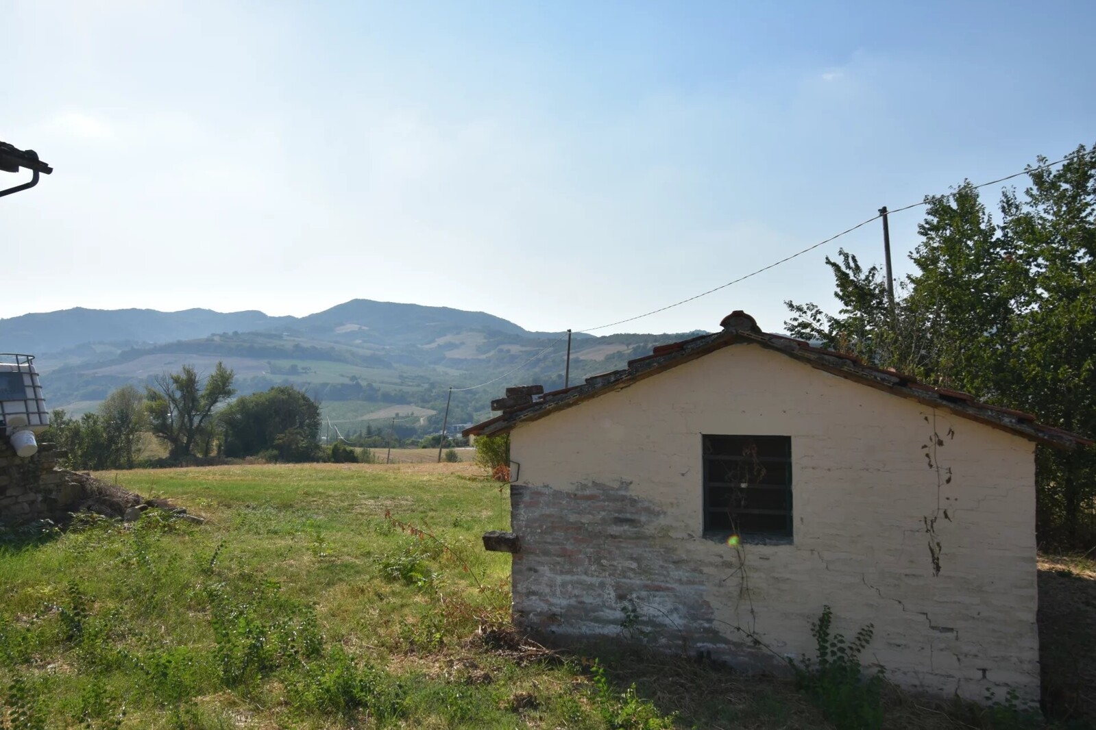 Picture-86386622-8