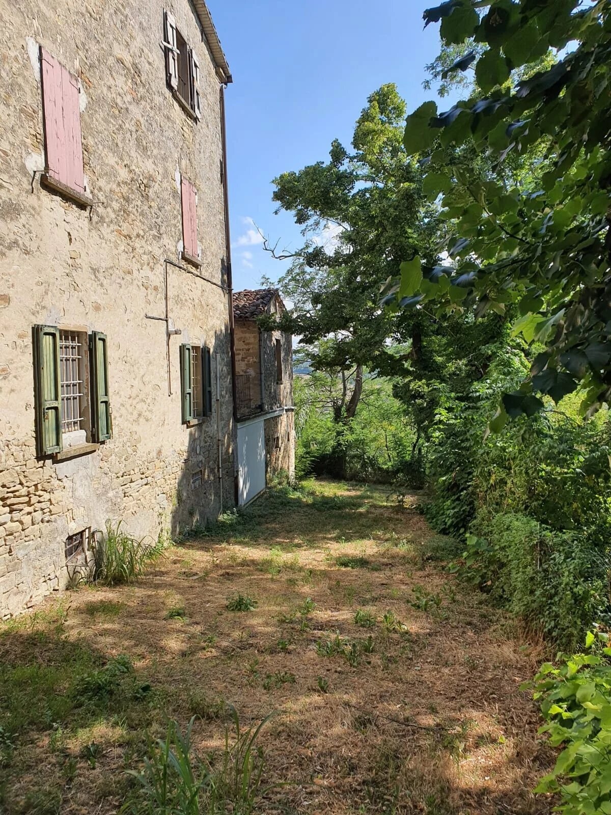 Picture-86377069-33