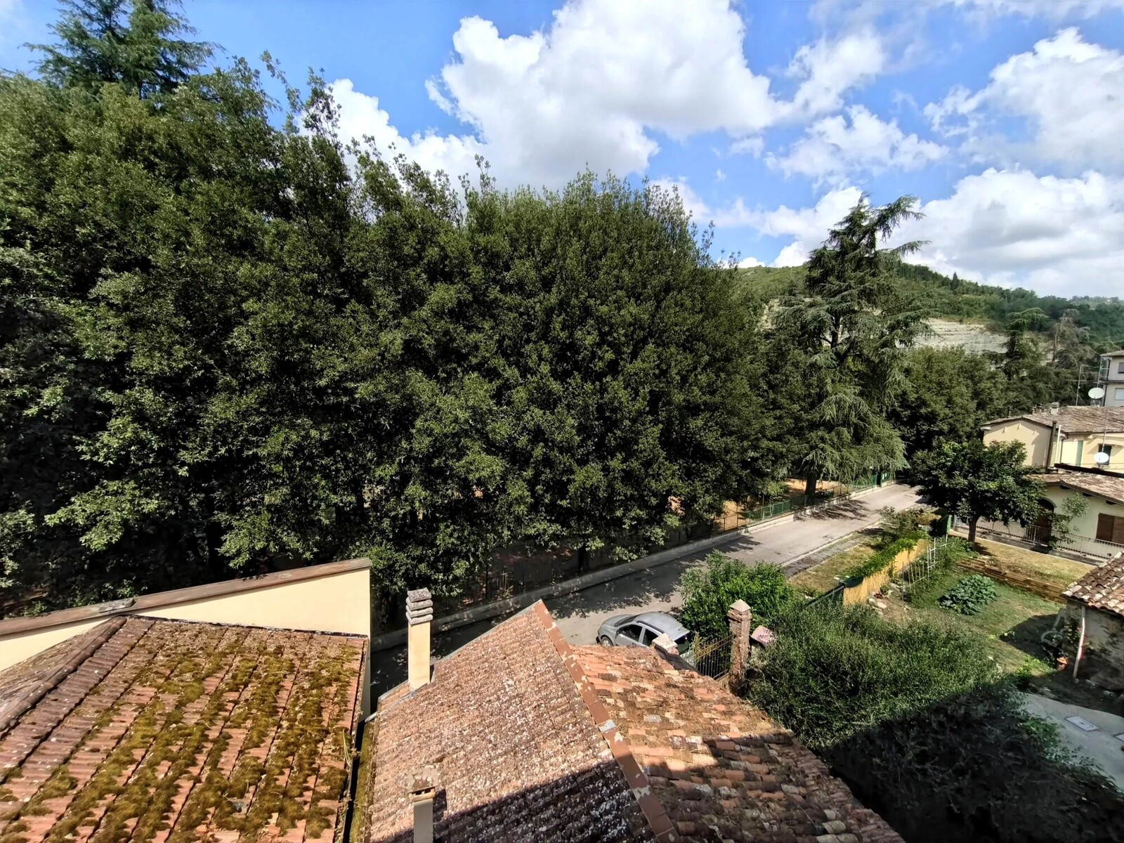 Picture-86386898-54