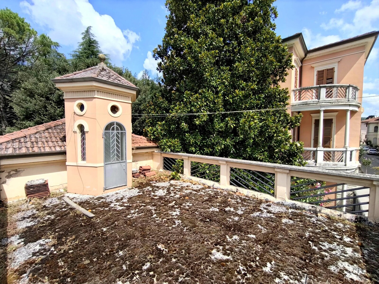 Picture-87054188-71