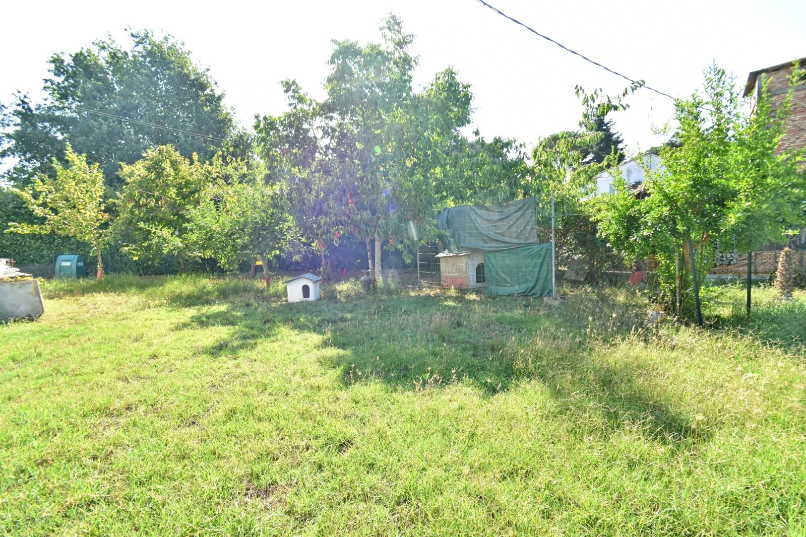 Picture-86947541-39