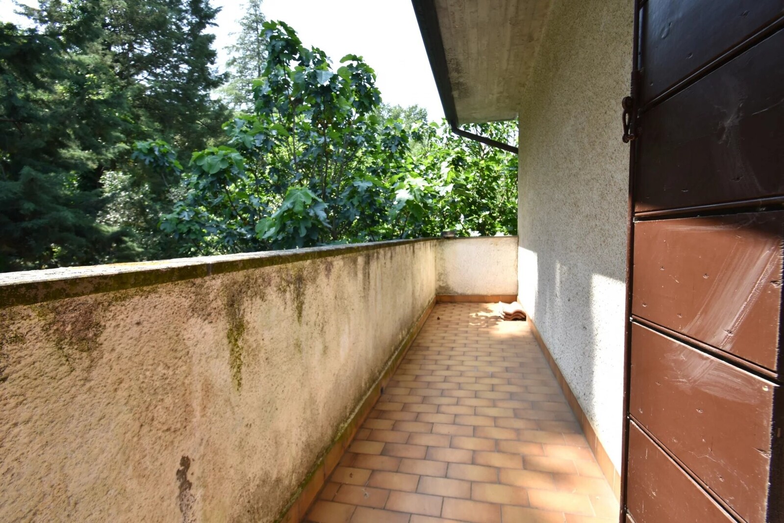Picture-86403639-13