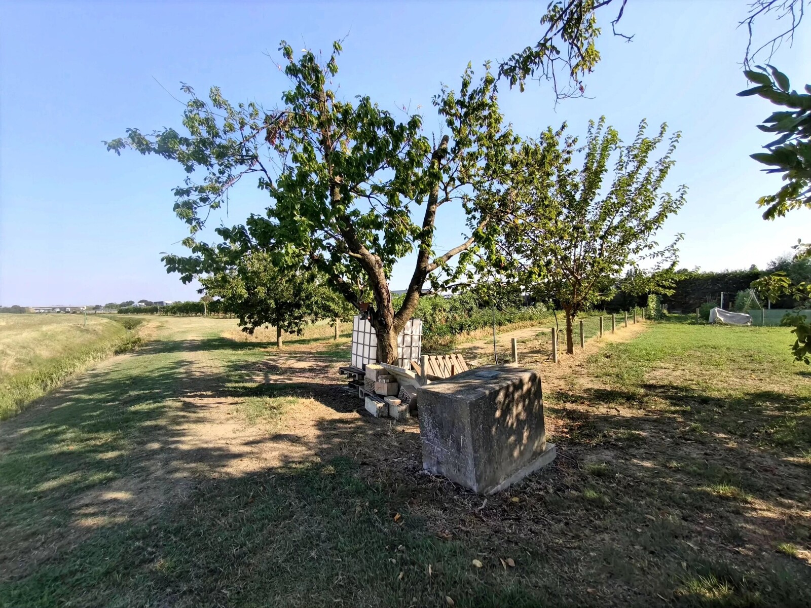 Picture-86891367-59 (1)
