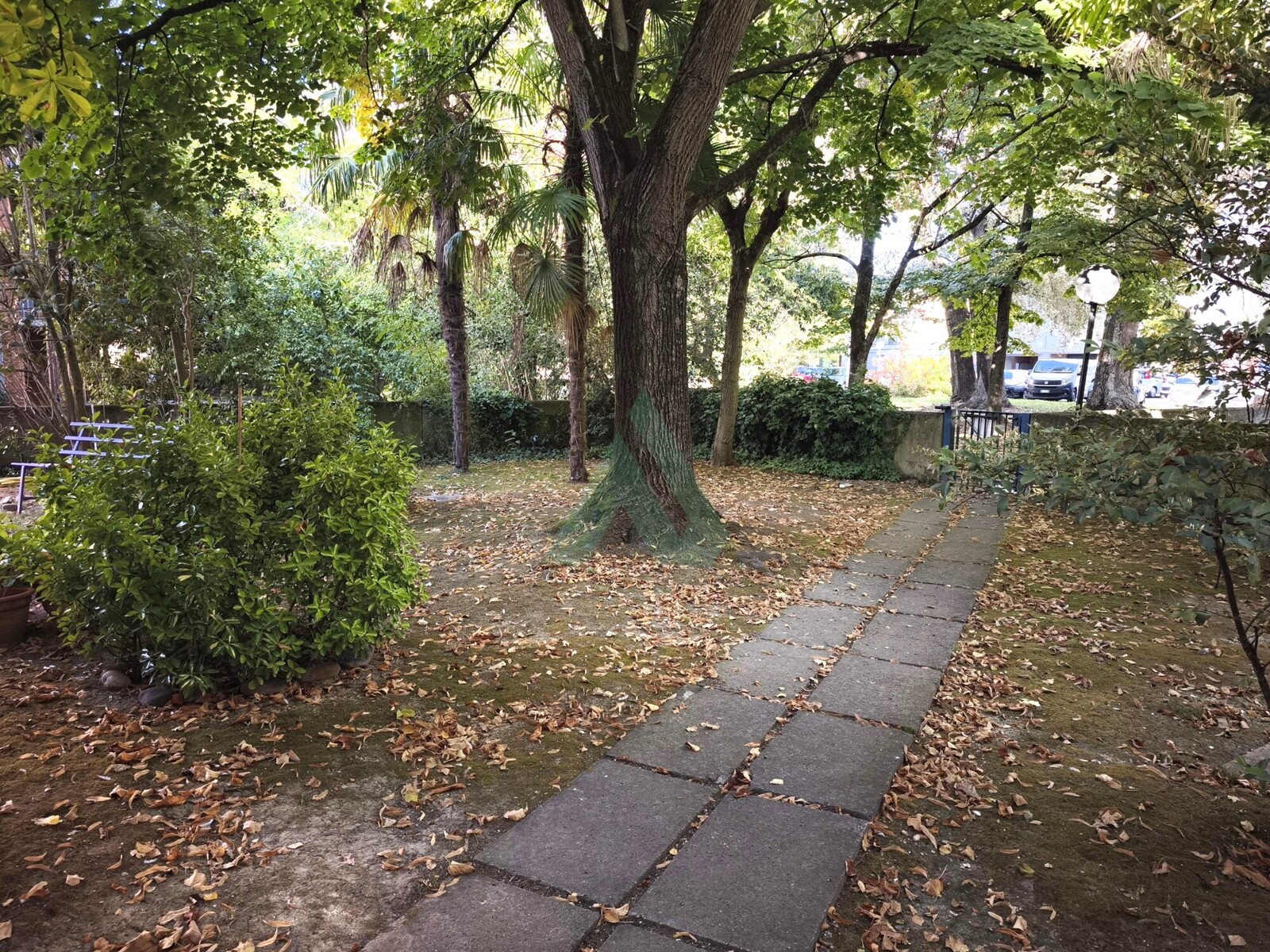 1000364874