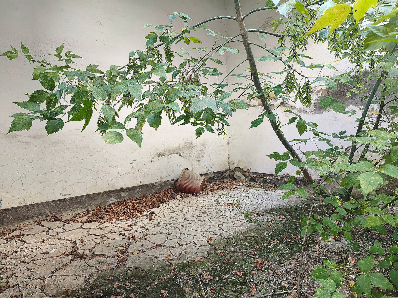 Cortile interno
