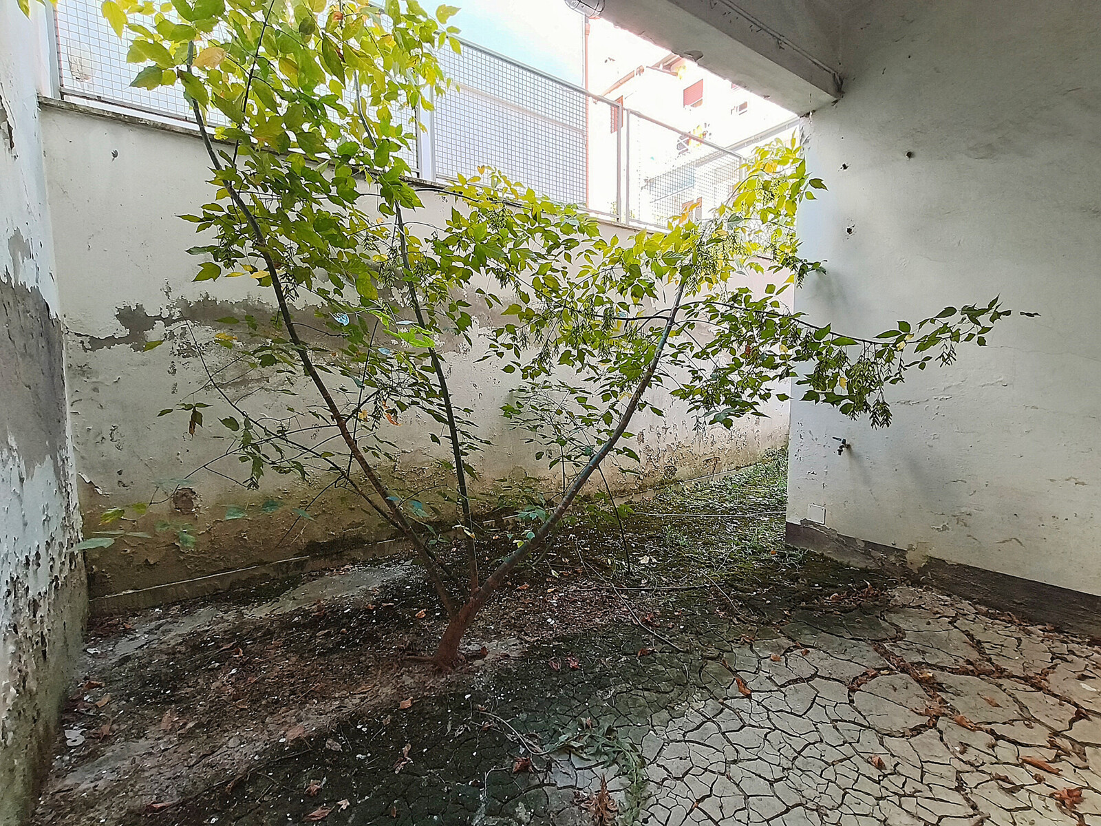 Cortile interno