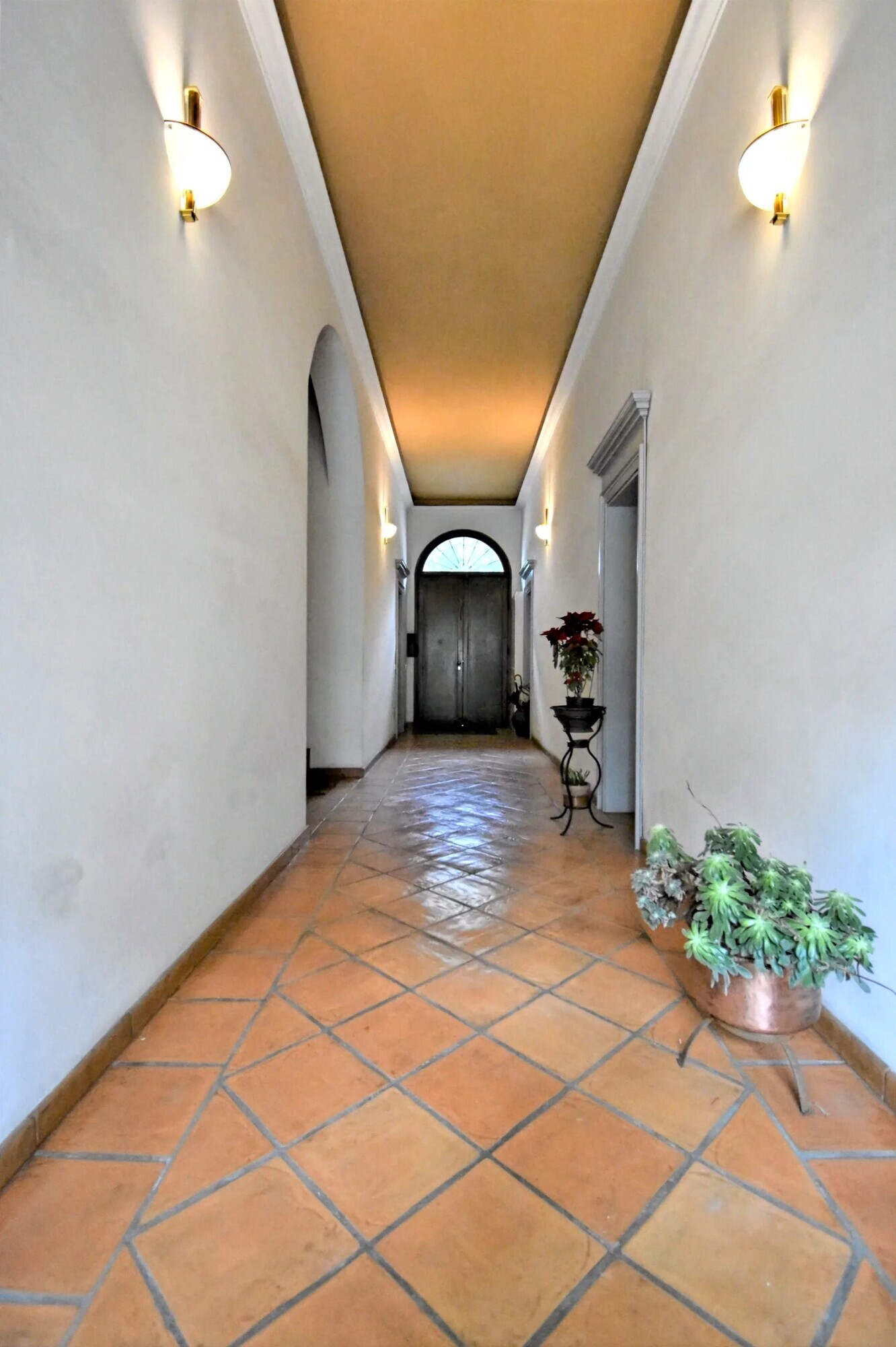 Picture-86997671-15