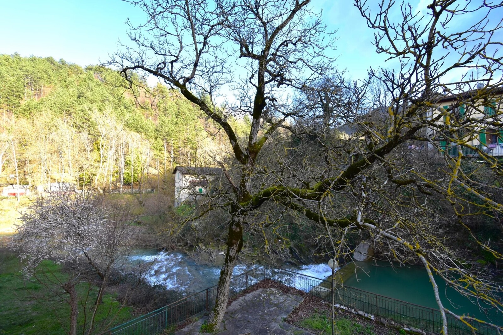 Picture-86377448-7