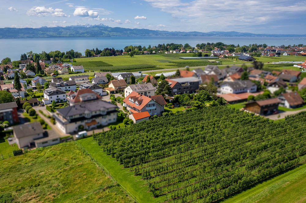 WeinbergSeeBerge