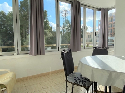 Apartment in Paguera for sale