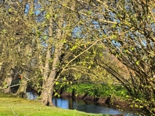 Gartenufer