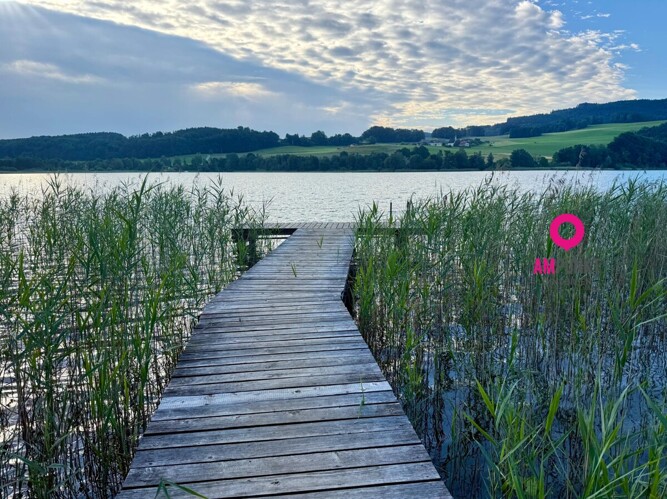 Traumhafter Badeplatz direkt am MATTSEE - Natur pur & Erhohlung garantiert - Bild