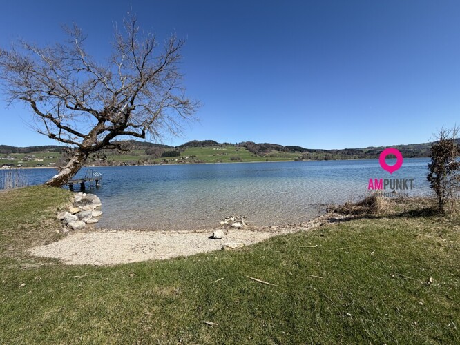 Direkter Badeplatz am wunderschönen Irrsee zur Pacht - Naturidylle und Erholung am Wasser - Bild