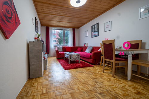 Wohn-/Ess-/Schlafzimmer