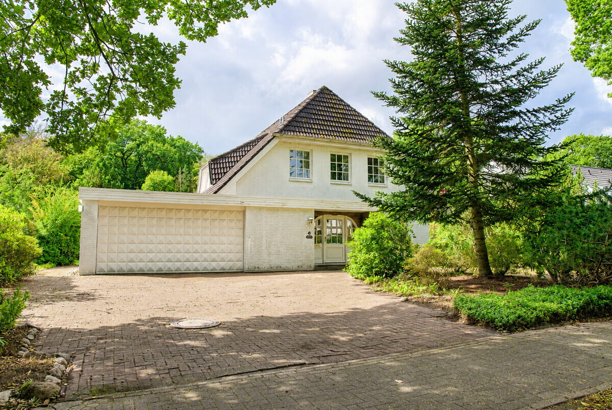 Real Estate Title Image Background