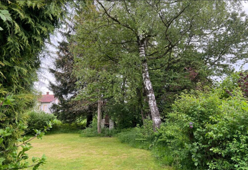 Baugrundfoto mit Baumbestand 1