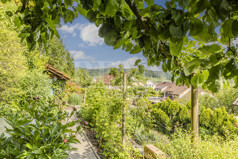 Gemüse- und Kräutergarten