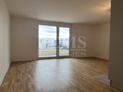 1-Zimmer-Wohnung