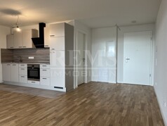 1-Zimmer-Wohnung
