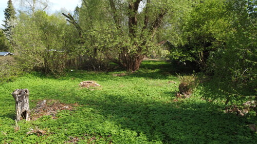 Großzügiges Wohnbaugrundstück für Ihr Traumhaus