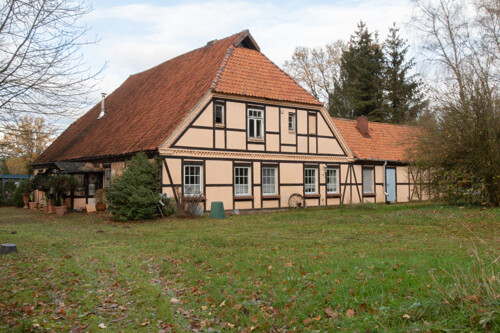 Charmante "alte Kate"