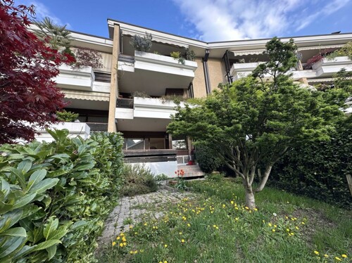 20250409_155308307_iOS