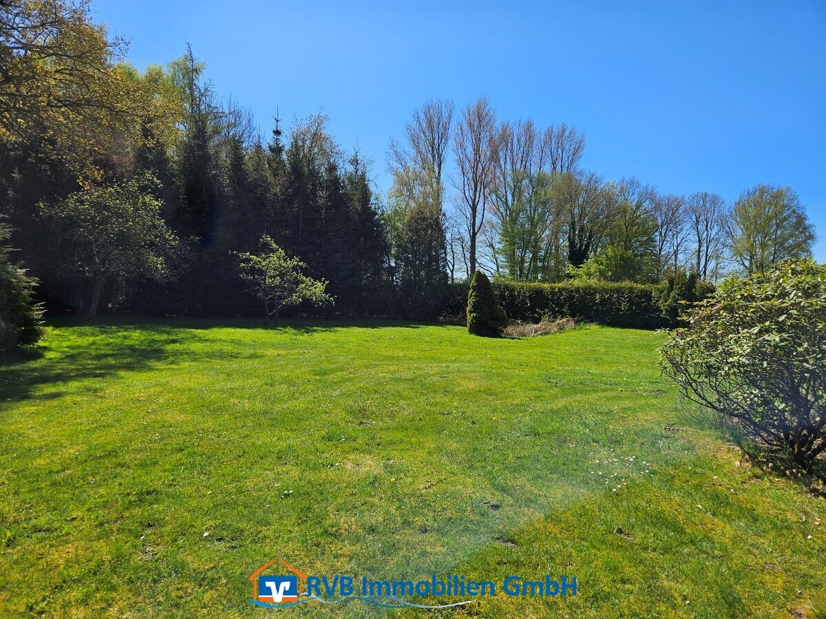 Blick in den Garten / Wald