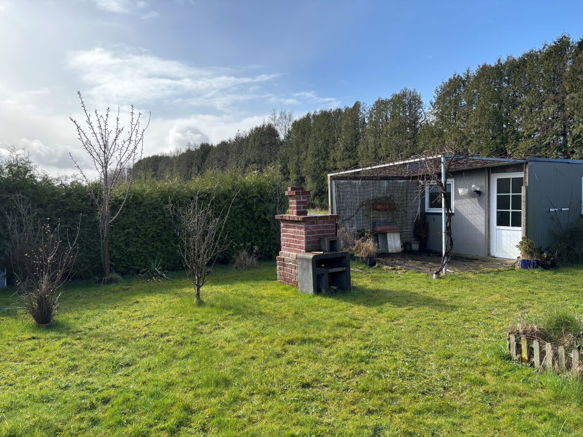 Garten hinten