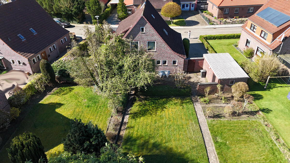 Ein Blick in den Garten