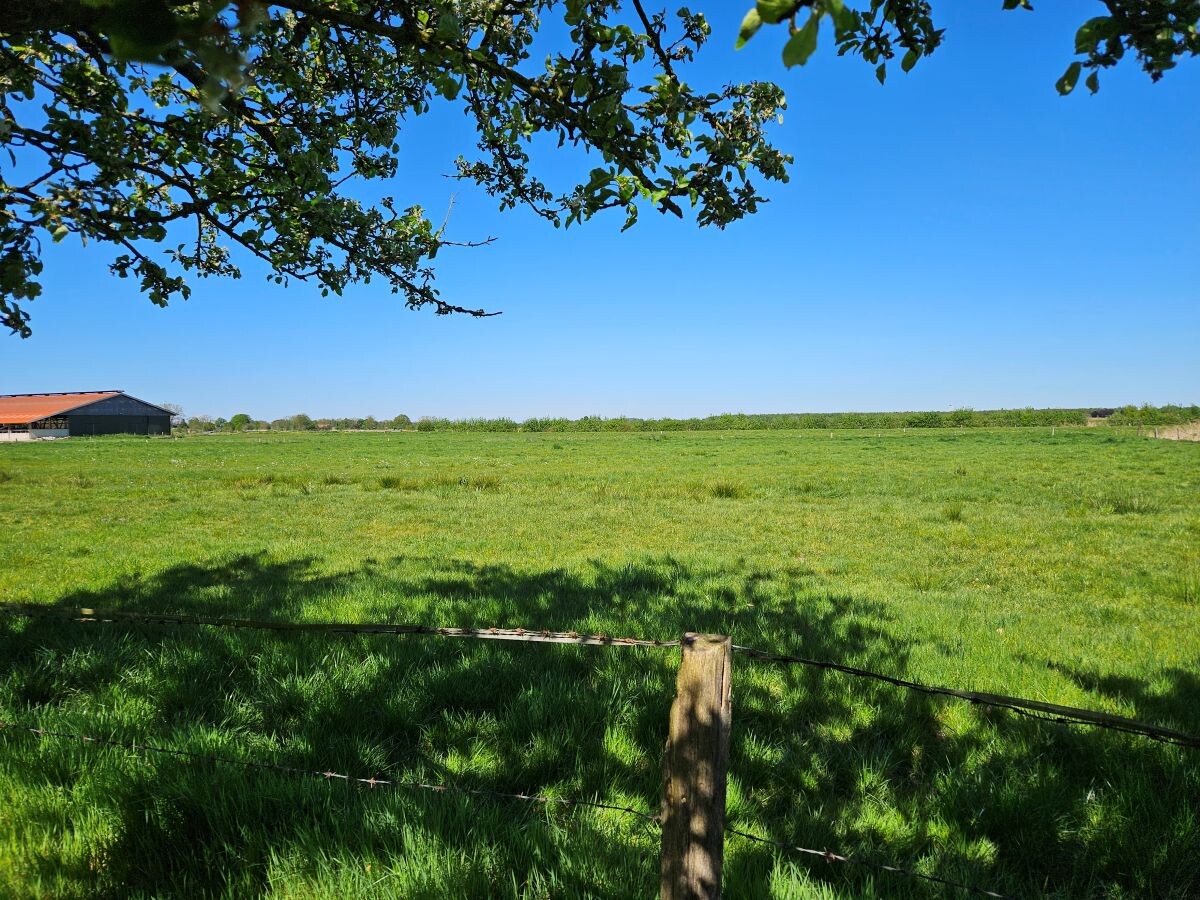 Blick in die Felder - ein Traum