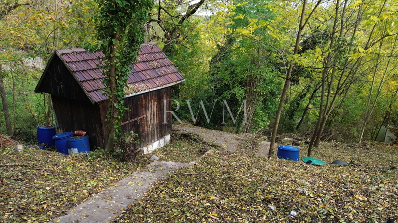 Ein Bild des Objekts