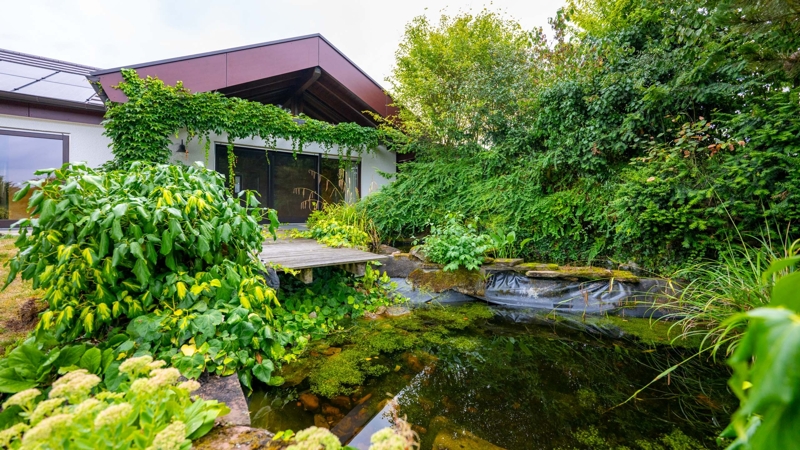 Ein Bild des Objekts