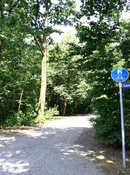 Direkt am Schopenhauer Wald