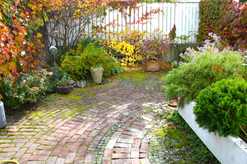 Wunderschöner Garten