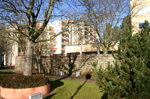 Gepflegte Außenanlagen