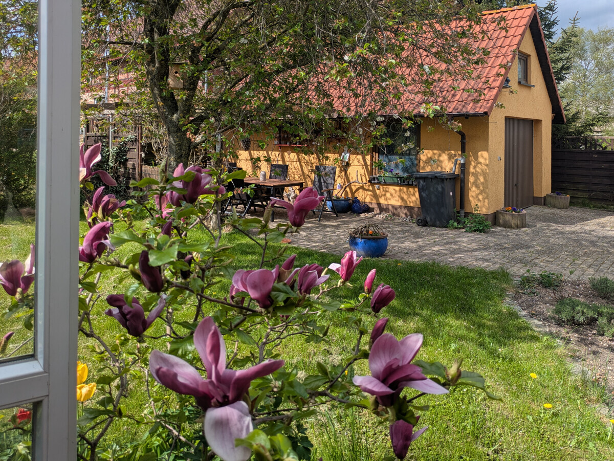 Garage_Terrasse
