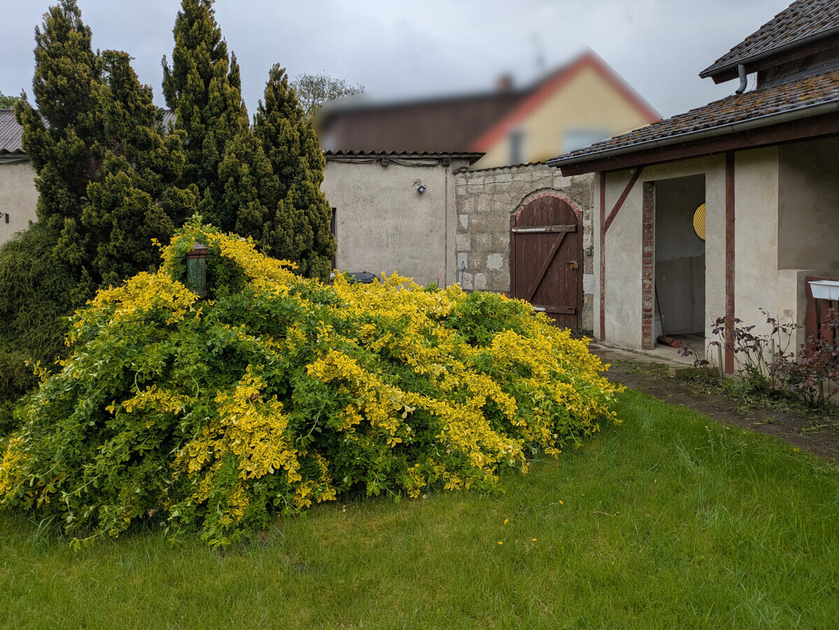 Eingang Gewerbe