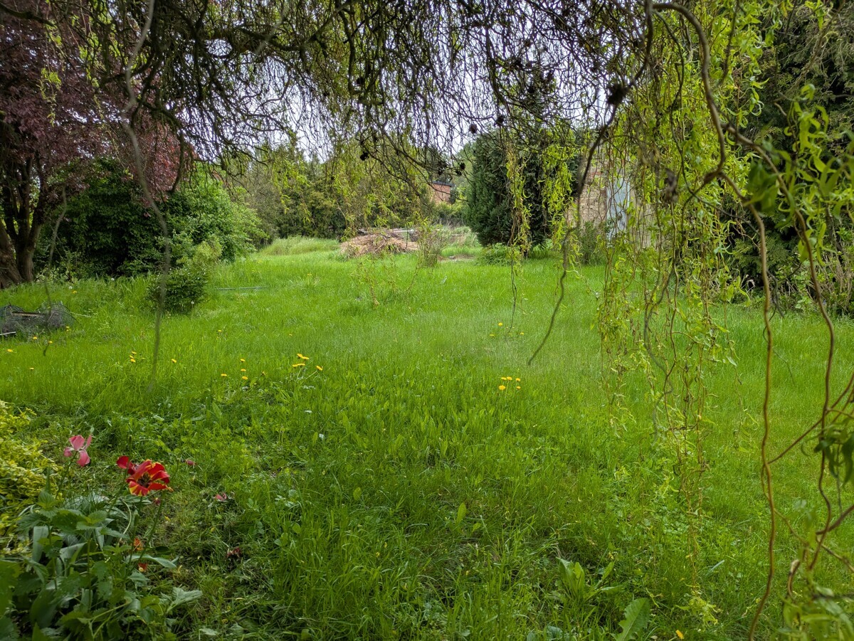 Garten I
