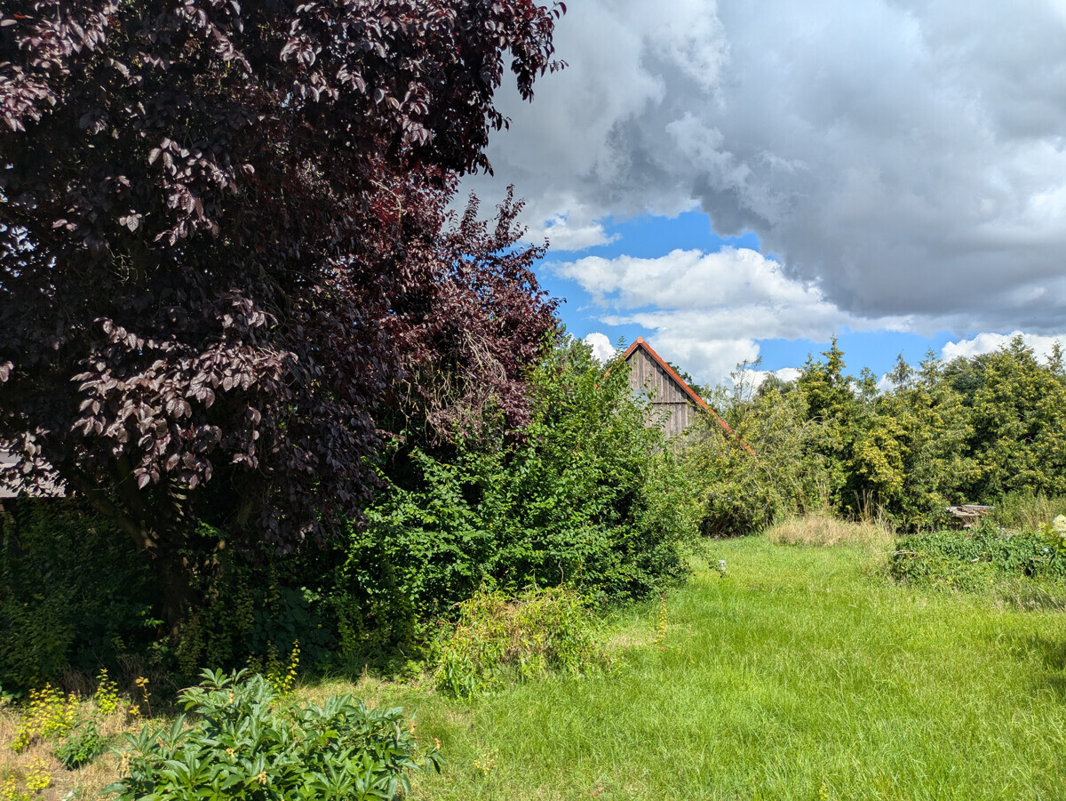 Garten I