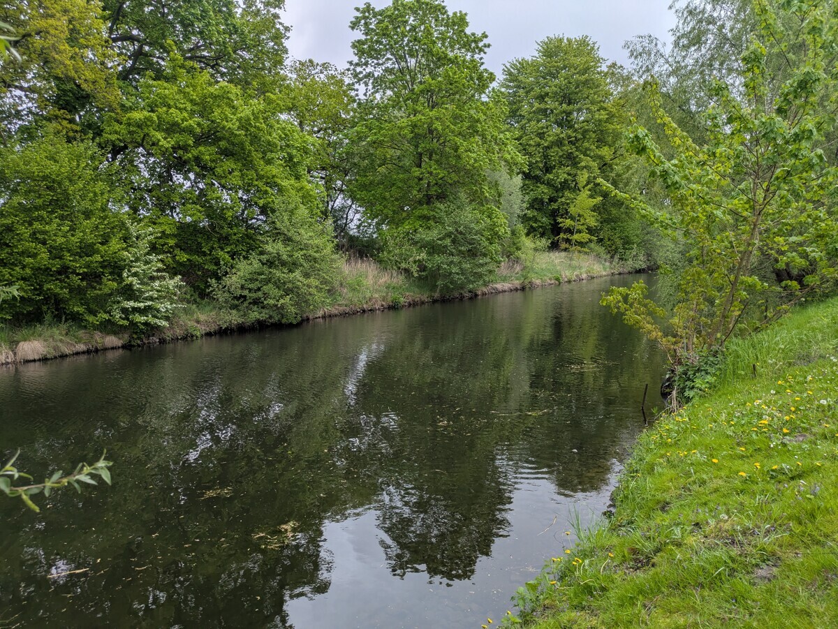 Elde