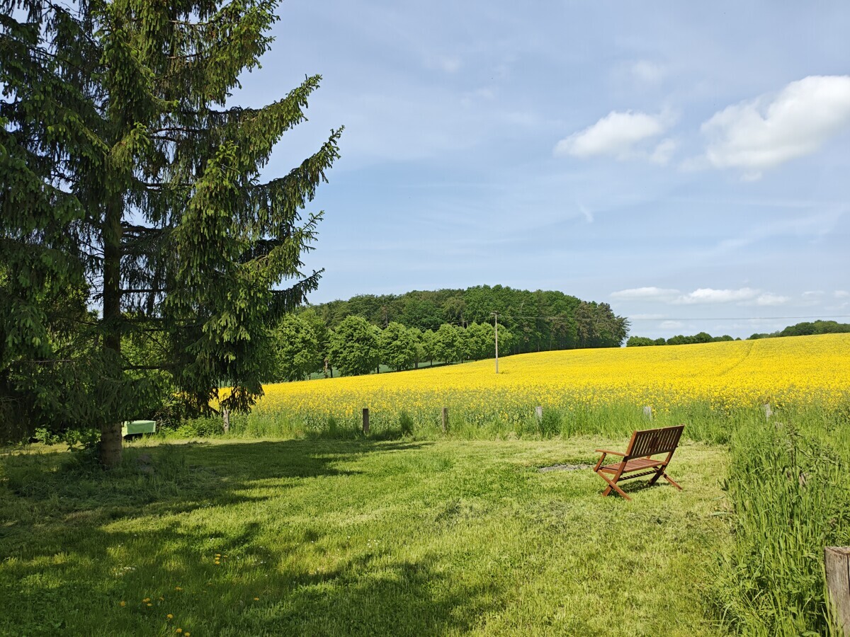 Ausblick