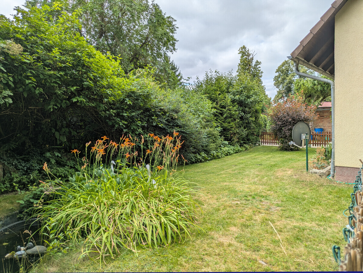 ehem. Ferienhaus_Garten