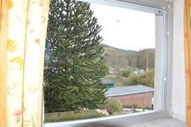 Blick aus Zimmer  DG