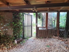 Von Carport in Garten