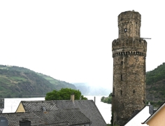 Rheinsicht
