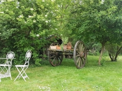 Antiker Kutschwagen