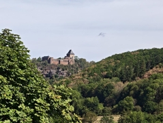 Burgblick
