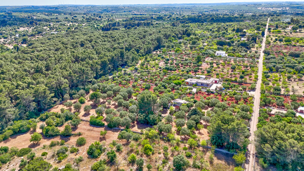 6_villa_ulmo.jpg